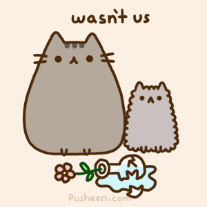 2018/2018-08/24.gif