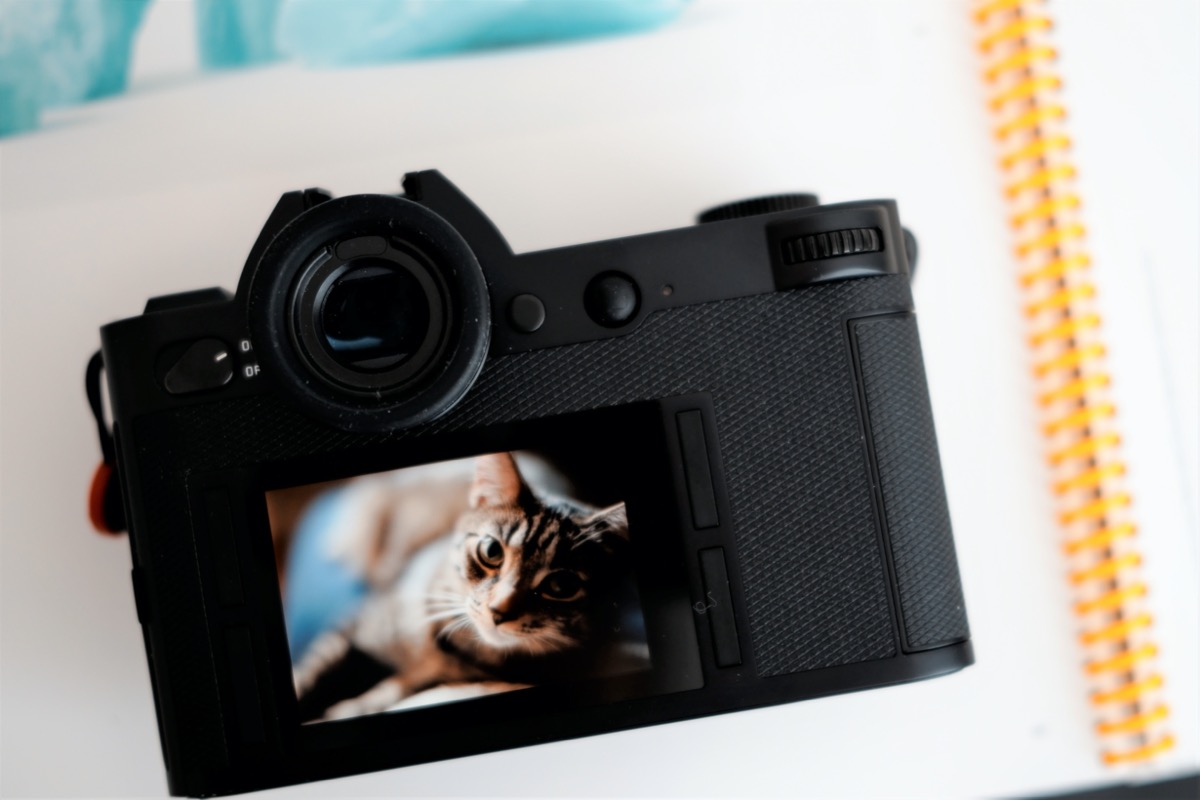 ↑除了左上角的开关键的on/off，没有一处铭文