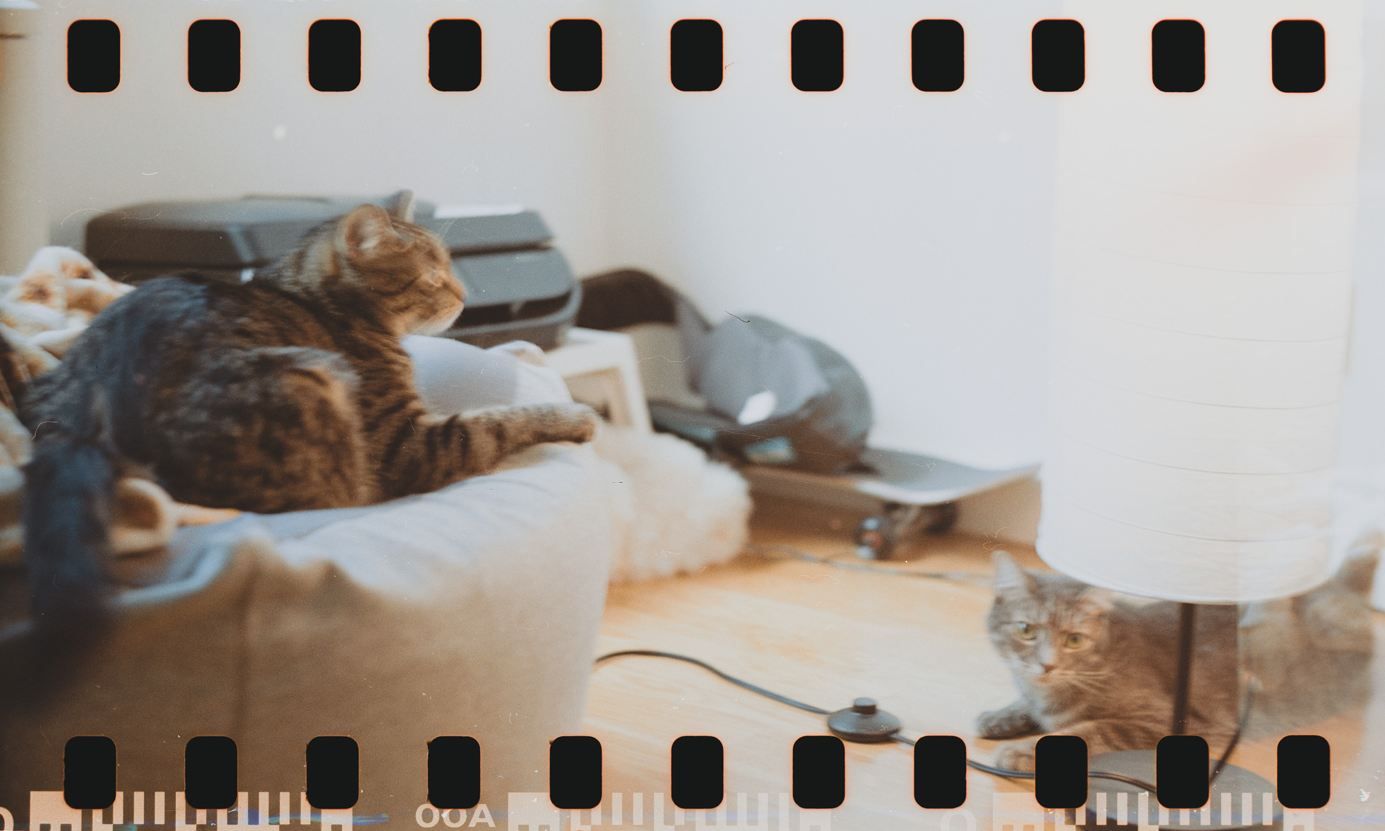 ↑彩负。快门也不太准，比设定值偏慢，容易糊