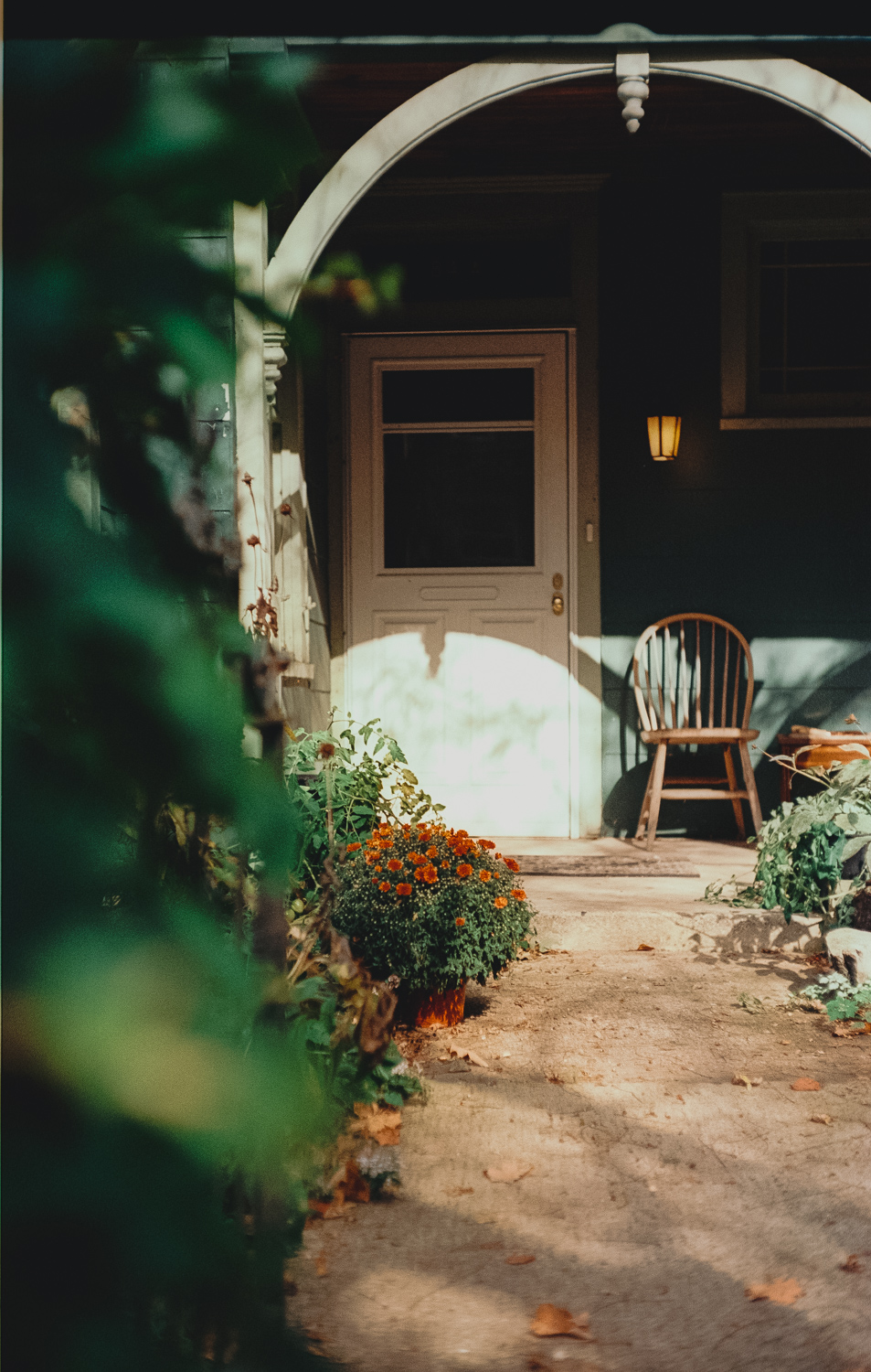 ↑Nikkor-sc 50 1.4 ltm