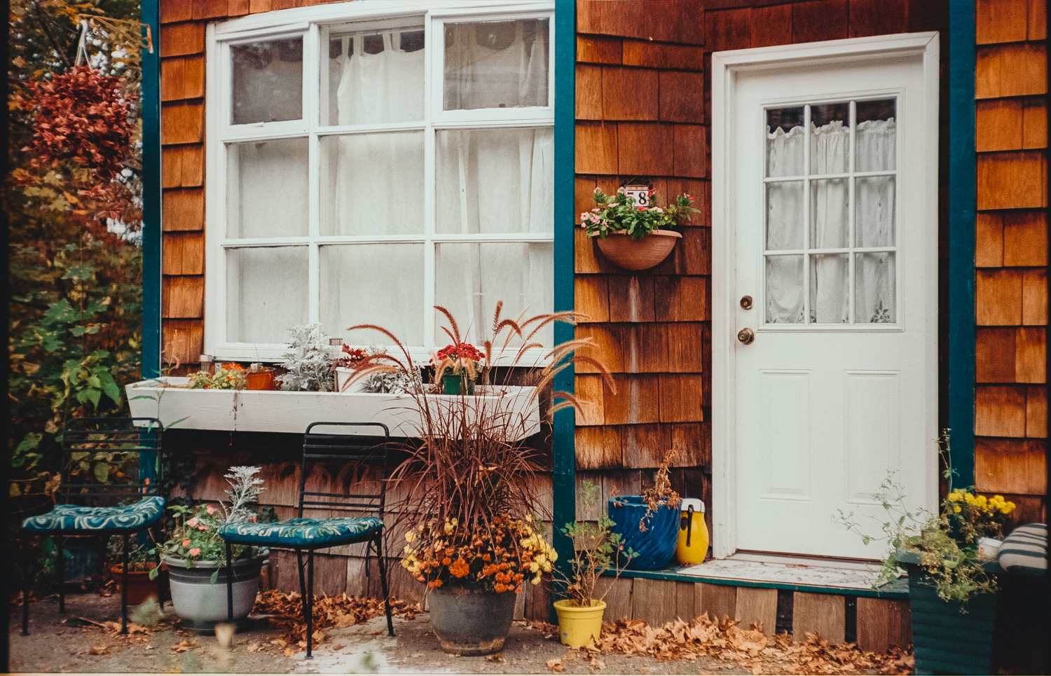 ↑Nikkor-sc 50 1.4 ltm