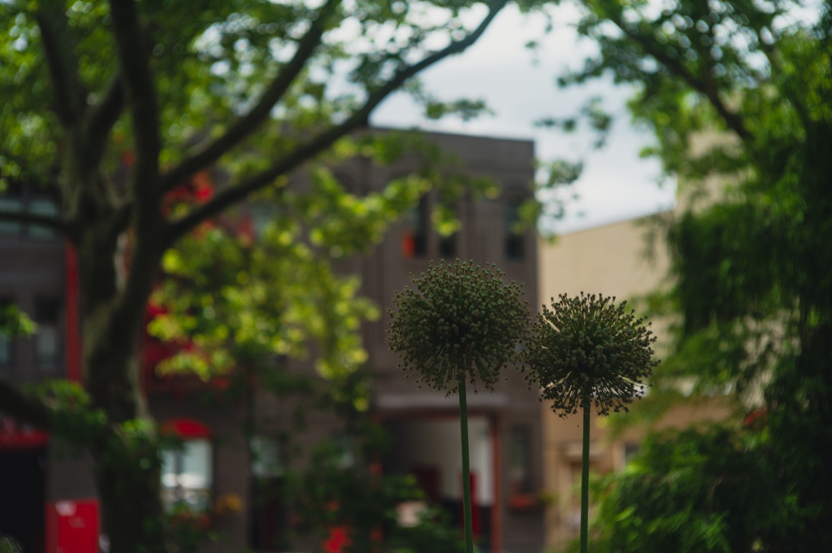 2022/06/12/green.jpg