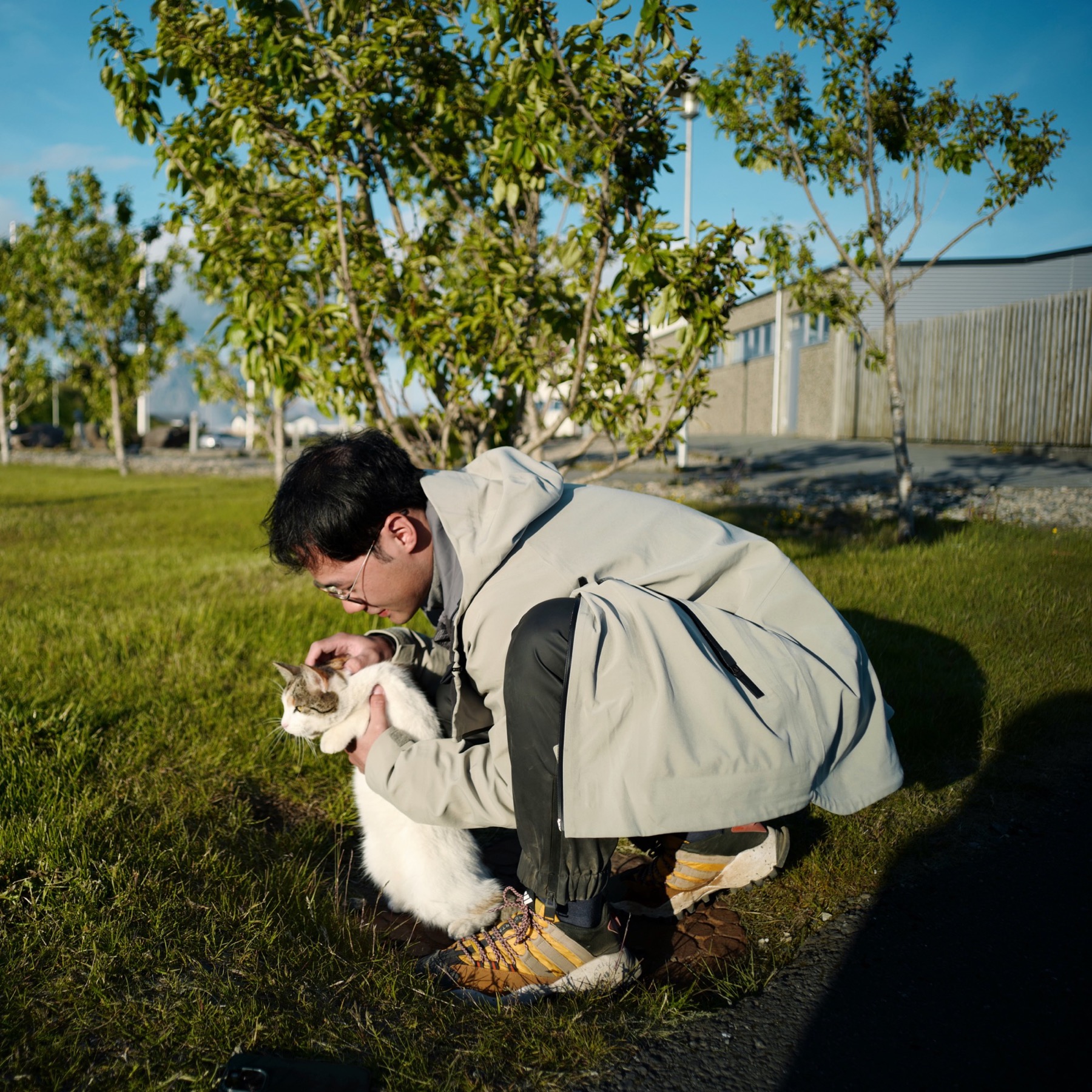 粘人又温顺，随便撸