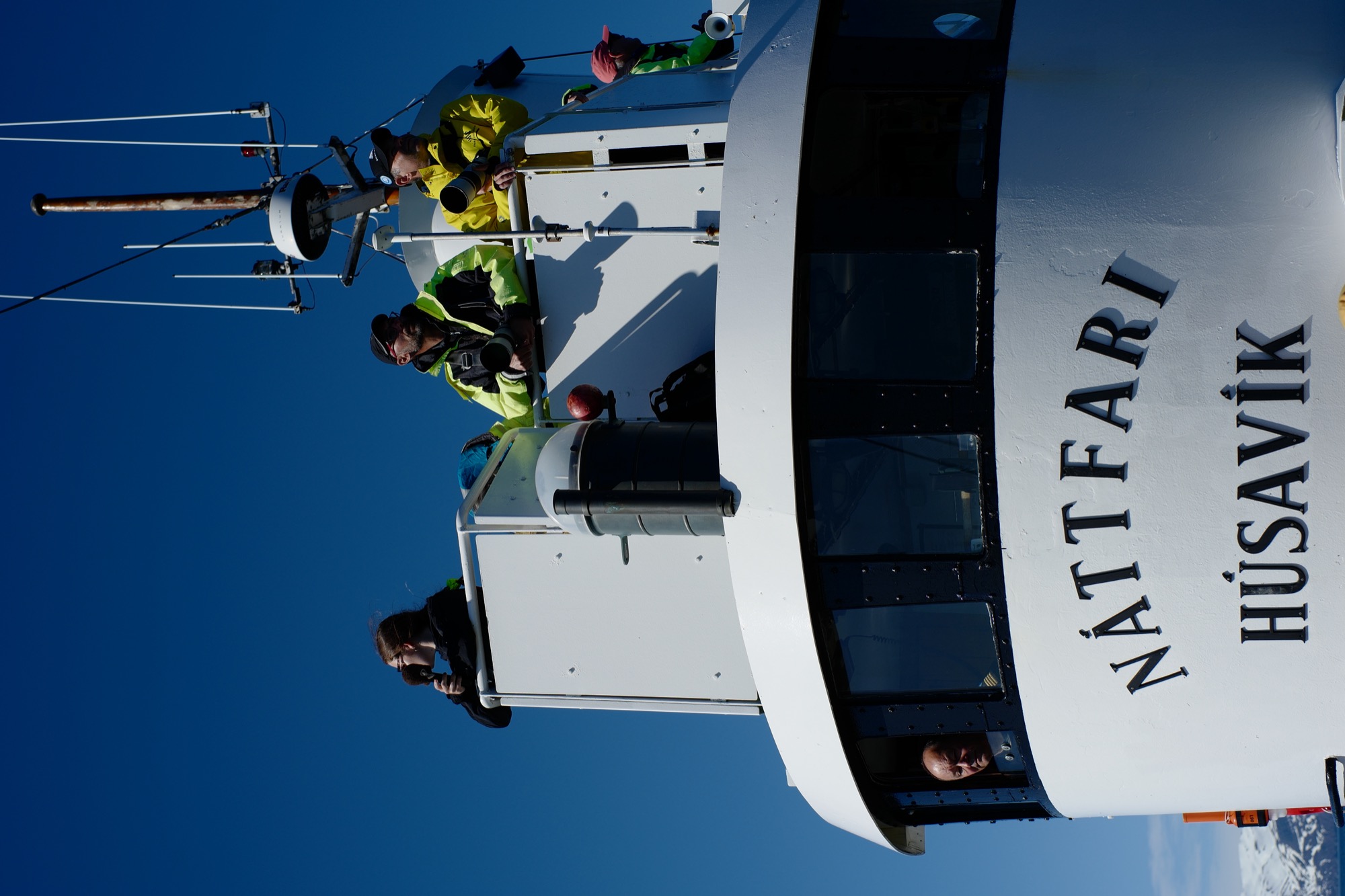 没有遇到鲸鱼但遇到了很多白吻海豚