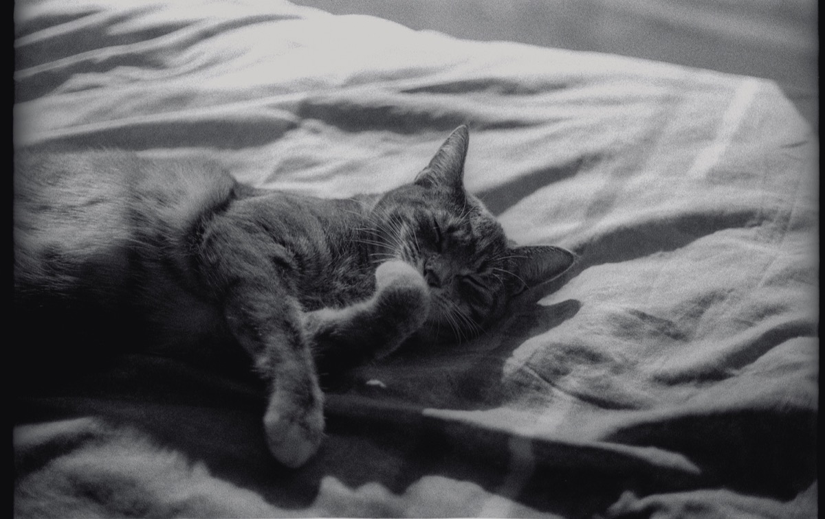 Ilford HP5