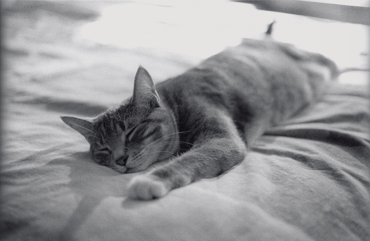 Ilford HP5