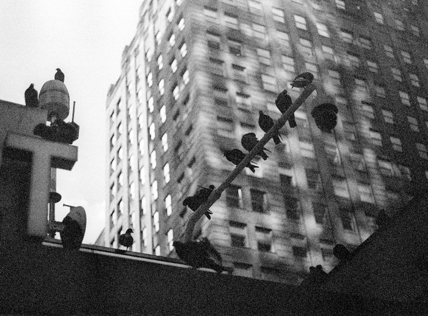 Kodak Tri-X expired 10 years