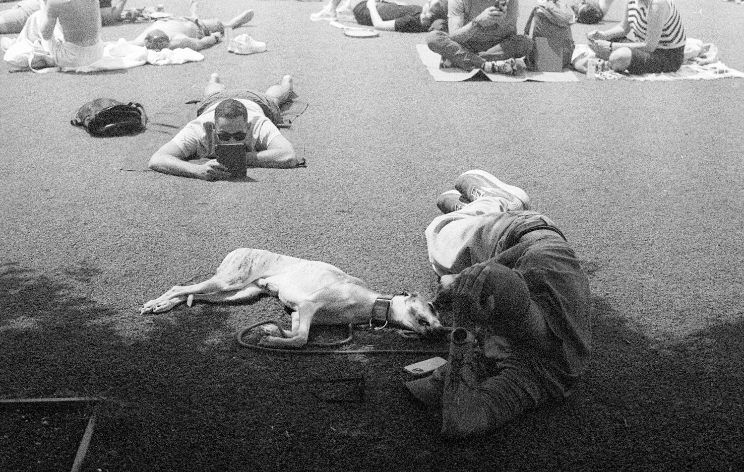 Kodak Tri-X expired 10 years
